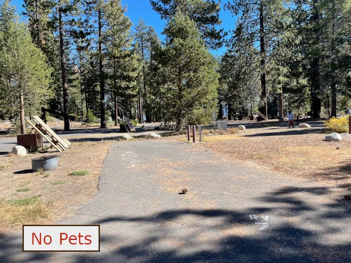 RV site 7 situated under tall evergreen trees with paved parking pad and fire ring. No pets banner.RV Site 7