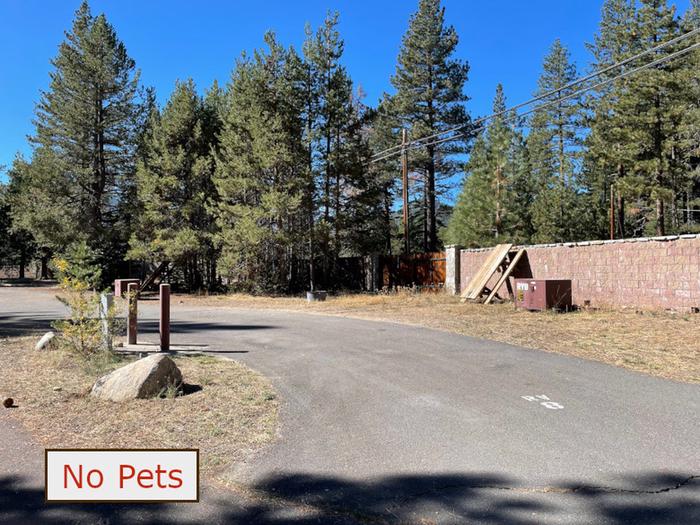 RV site 8 situated under tall evergreen trees with paved parking pad and fire ring. No pets banner.RV Site 8