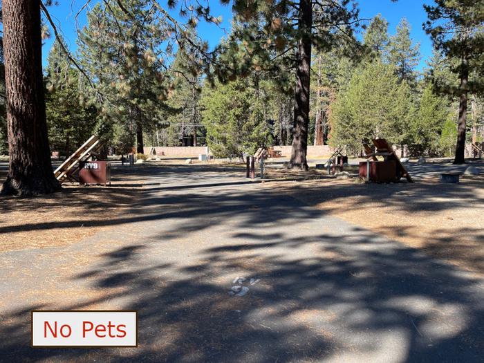 RV site 9 situated under tall evergreen trees with paved parking pad and fire ring. No pets banner.RV space 9