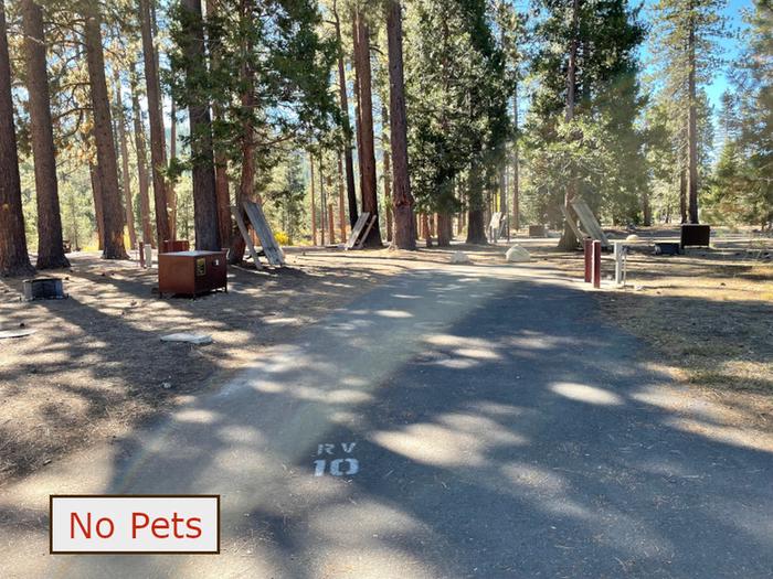 RV site 10 situated under tall evergreen trees with paved parking pad and fire ring. No pets banner.RV Site 10