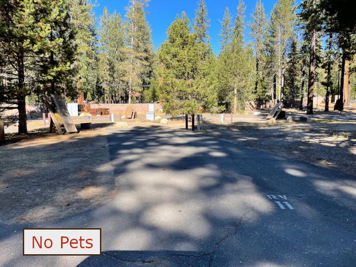 RV site 11 situated under tall evergreen trees with paved parking pad and fire ring. No pets banner.RV Site 11