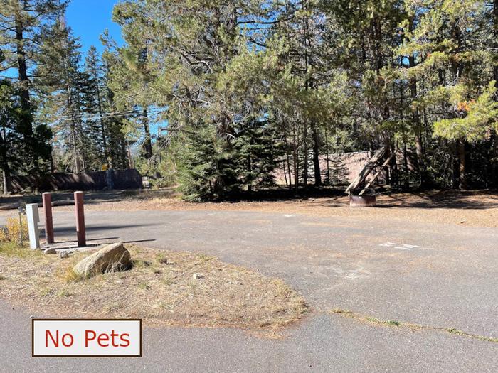RV site 14 situated under tall evergreen trees with paved parking pad and fire ring. No pets banner.RV Site 14