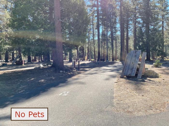 RV site 15 situated under tall evergreen trees with paved parking pad and fire ring. No pets banner.RV Site 15