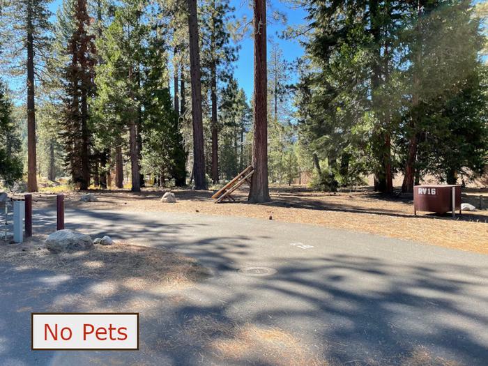 RV site 16 situated under tall evergreen trees with paved parking pad and fire ring. No pets banner.RV Site16