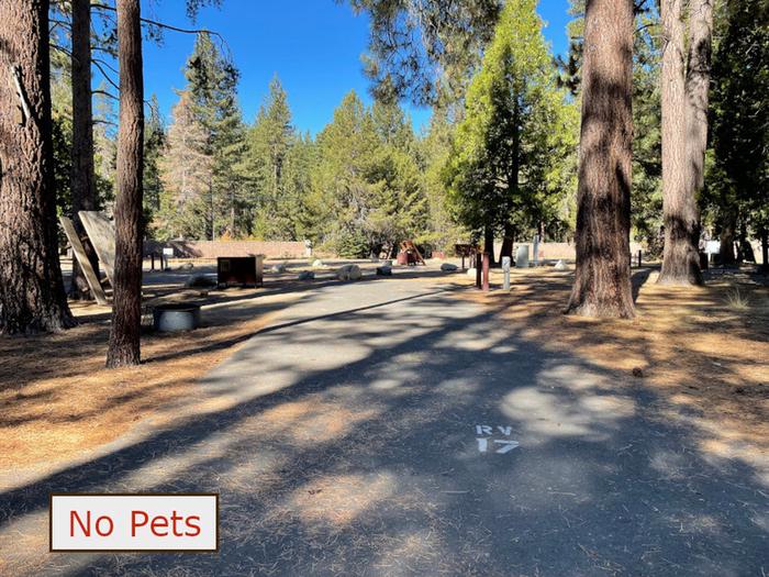 RV site 17 situated under tall evergreen trees with paved parking pad and fire ring. No pets banner.RV Site 17