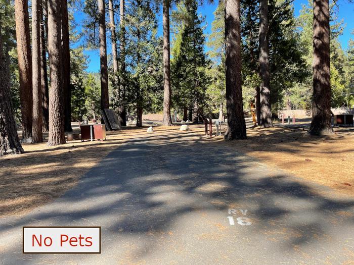 RV site 18 situated under tall evergreen trees with paved parking pad and fire ring. No pets banner.RV Site 18