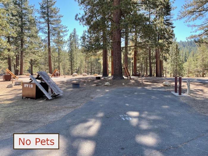RV site 19 situated under tall evergreen trees with paved parking pad and fire ring. No pets banner.RV Site 19