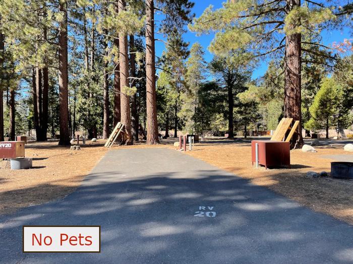 RV site 20 situated under tall evergreen trees with paved parking pad and fire ring. No pets banner.RV Site 20