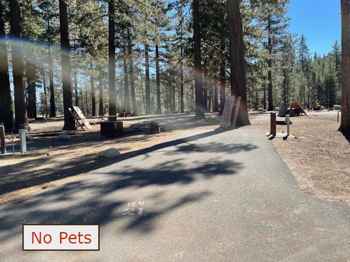 RV site 21 situated under tall evergreen trees with paved parking pad and fire ring. No pets banner.RV Site 21