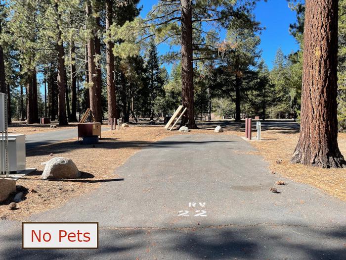 RV site 22 situated under tall evergreen trees with paved parking pad and fire ring. No pets banner.RV Site 22