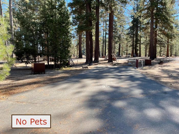 RV site 23 situated under tall evergreen trees with paved parking pad and fire ring. No pets banner.RV Site 23