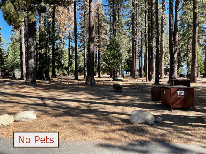 Tent site N02 situated under tall evergreen trees with paved parking pad and fire ring. No pets banner.Tent Campsite 2