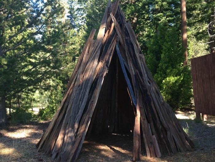 View of indigenous Washoe Gadu shelter surrounded by evergreen trees.Washoe Gadu Shelter