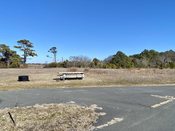 Front-left side view from main road of bayside site A3 in February with a view of the picnic table, and fire ring.  Trees and brush on the horizon.Bayside A3 - February