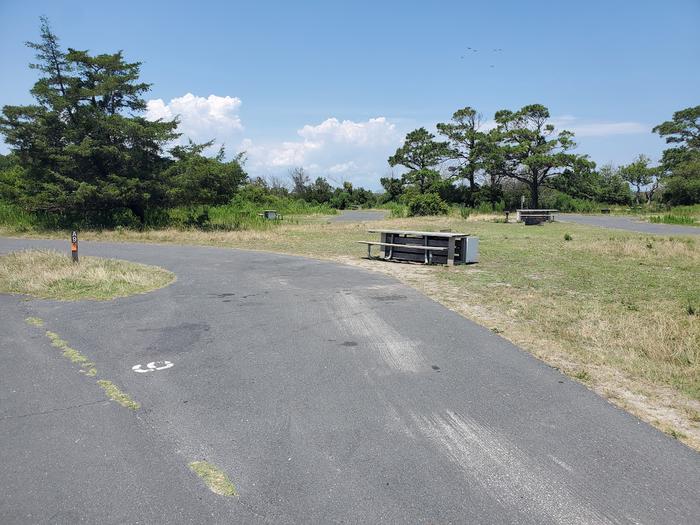 Bayside A9 in July with a view from the main road.  Image shows picnic table and pull-through drive-in site.  Fire ring is behind the picnic table from viewpoint.Bayside A9 - July
