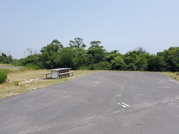 Bayside site A11 in July with a view from the main road.  Image shows the back-in drive-in site with picnic table.  Fire ring is hidden behind the picnic table from this view.Bayside A11 - July