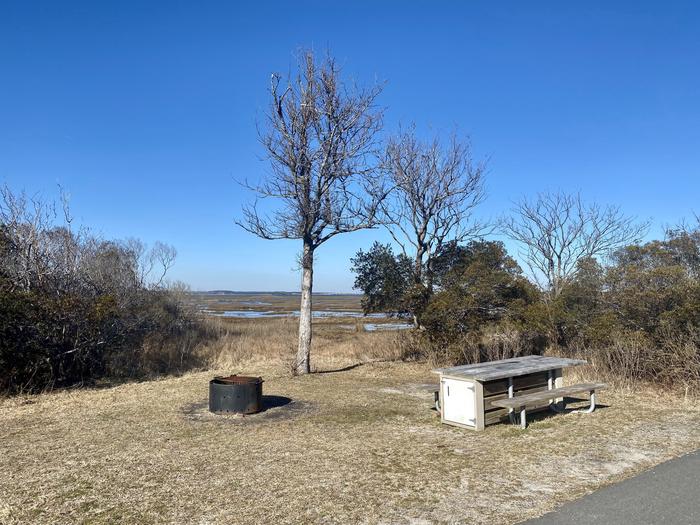 Bayside site A15 in February with a view from the back-in drive-in site.  Image shows the picnic table and fire ring with a tree behind them.  There's a little gap between the brush that shows the bay.Bayside A15 - February