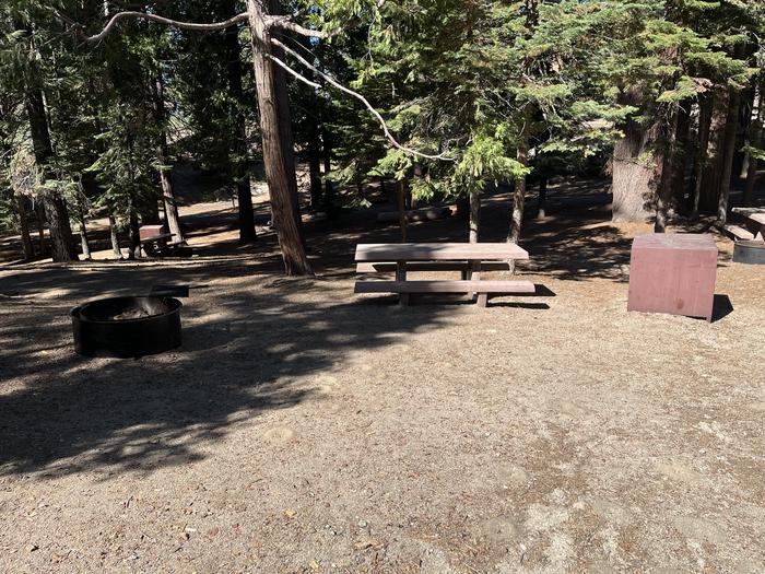 Fire ring, picnic table, and bear box included in site nearby others sitesFire ring, picnic table, and bear box included in site nearby other sites