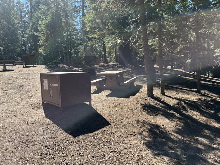 Right side of site showing picnic table, fire ring, and bear box included in site and showing nearby sites