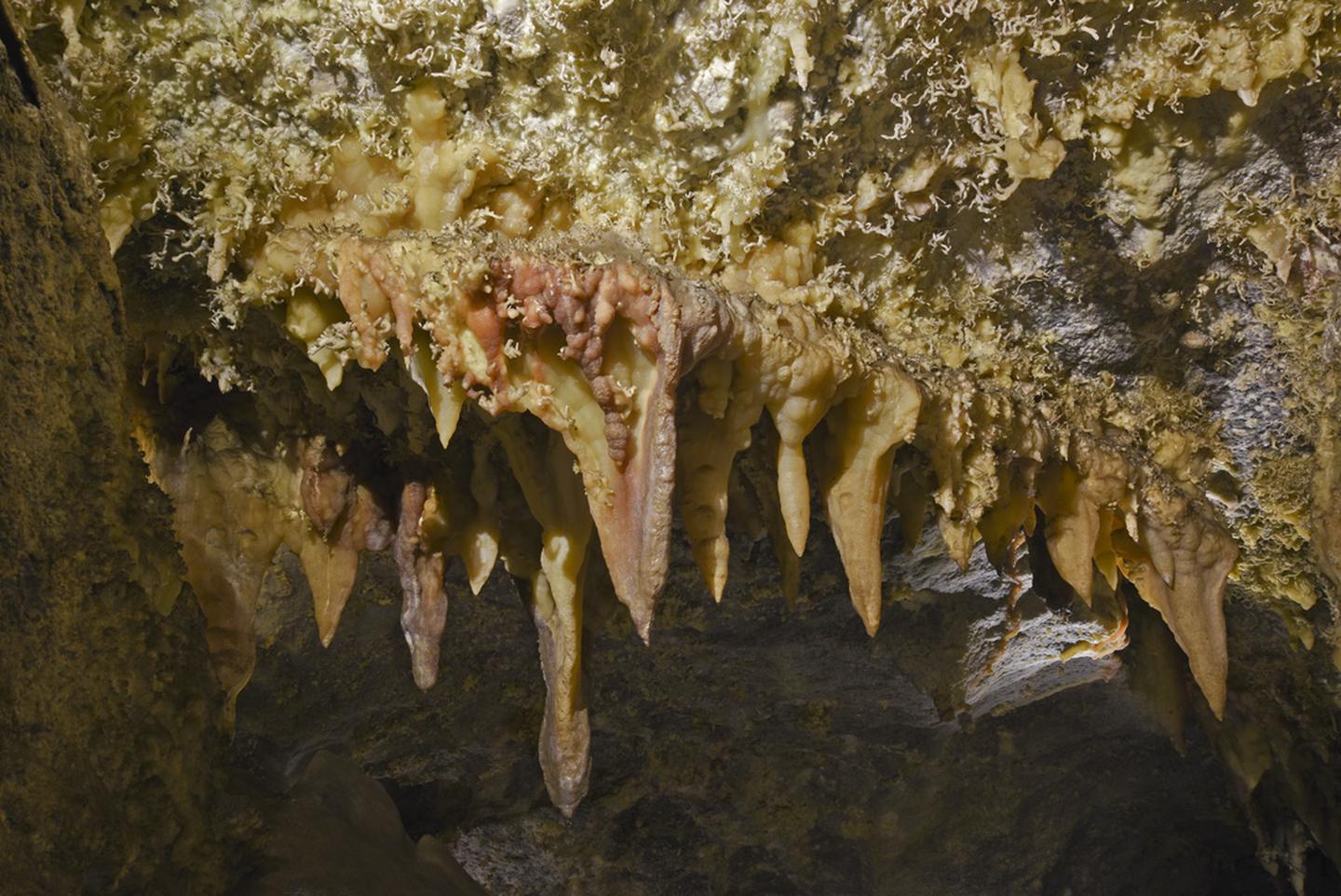 Minerals creating a variety of colors in stalactitesColorful stalactites in Chimes Chamber