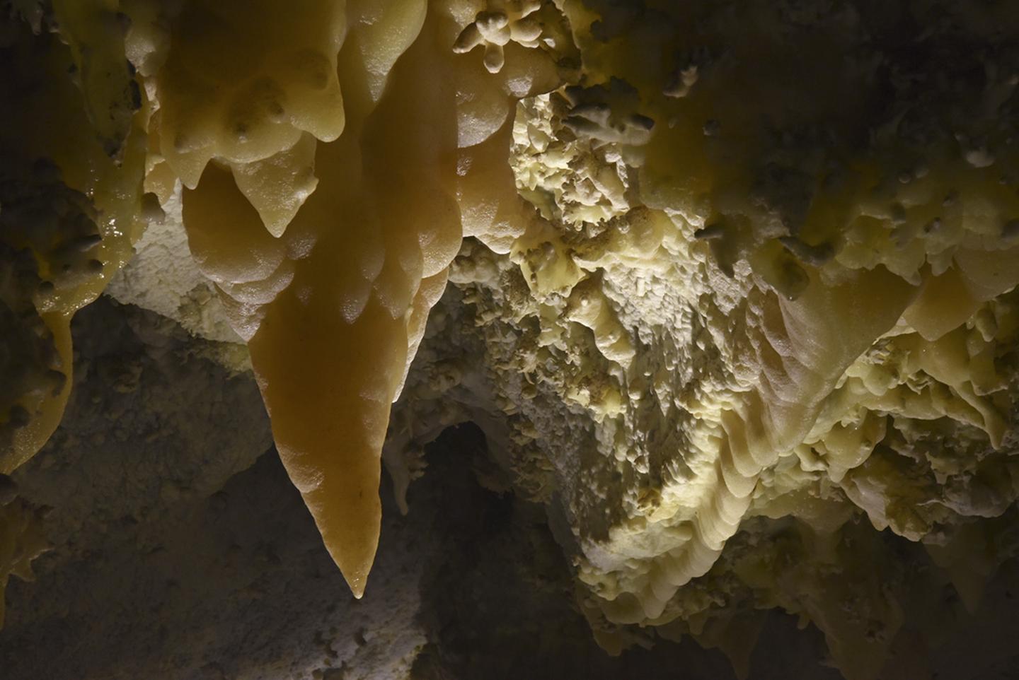 Yellow pointed cave formation clinging to the cave ceiling surrounded by other knobby formationsStalactites