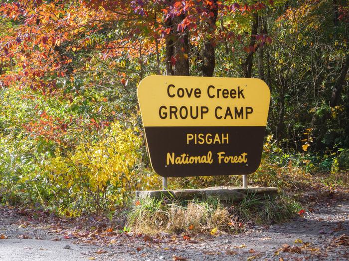 COVE CREEK UPPER GROUP CAMPSITECreek at Upper Cove Creek 