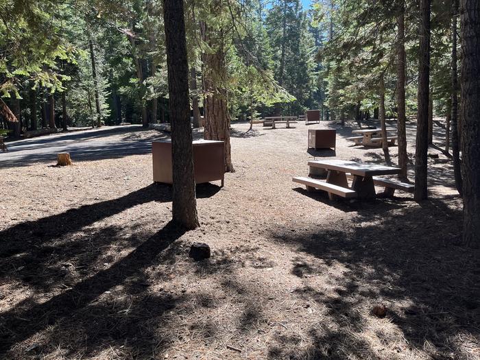 Right side of campsite that includes bear box and picnic table next to other sites