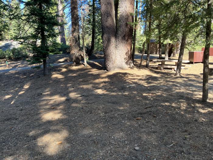 Left side of campsite that includes bear box, fire ring, and picnic table next to other sites