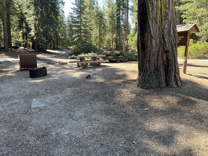 Backside of site showing picnic table, bear box, and fire ring included in site nearby the fire dump stationRight side of site showing picnic table, bear box, and fire ring included in site and the restroom