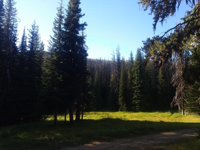 Meadow near cabinMeadow near the Horse Heaven Cabin