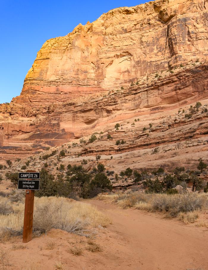 A dirt road with a sign for Campsite 26 leads towards the base of an orange sandstone cliffCampsite 26
