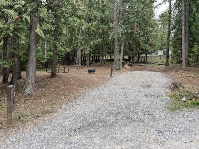 A photo of Site 10 of Loop BIRC at SPRINGY POINT with Picnic Table, Fire Pit