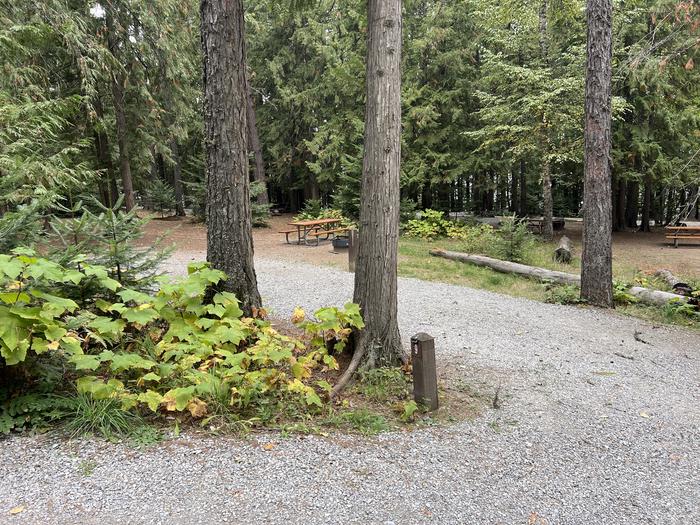 A photo of Site 09 of Loop BIRC at SPRINGY POINT with Picnic Table, Fire Pit
