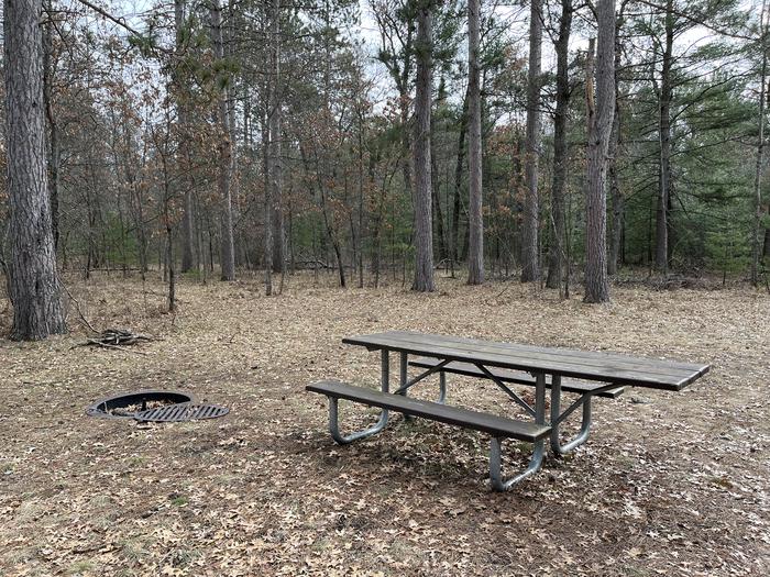 Campfire ring and picnic table at campsite 2