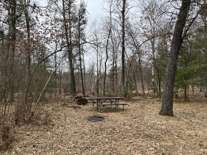 Campfire ring and picnic table at campsite 5