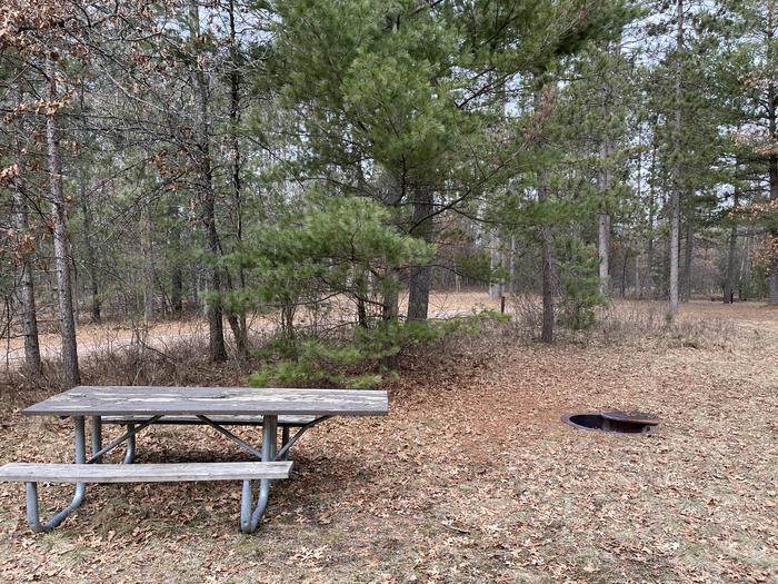 Campfire ring and picnic table at campsite 6