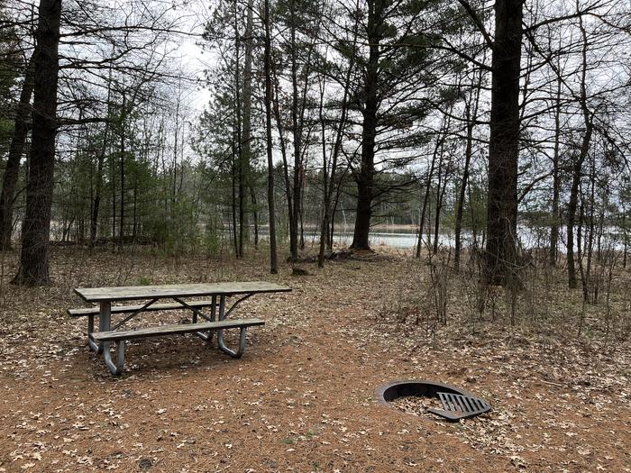 Campfire ring and picnic table at campsite 7
