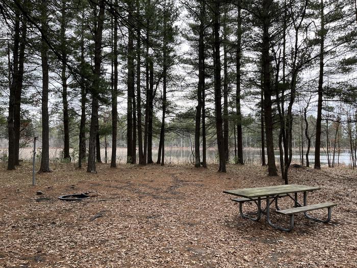 Campfire ring and picnic table at campsite 9