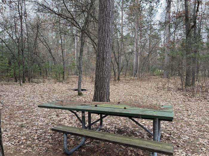 Campfire ring and picnic table at campsite 10