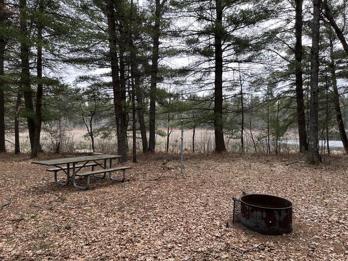 Campfire ring, picnic table, and lantern post at campsite 11