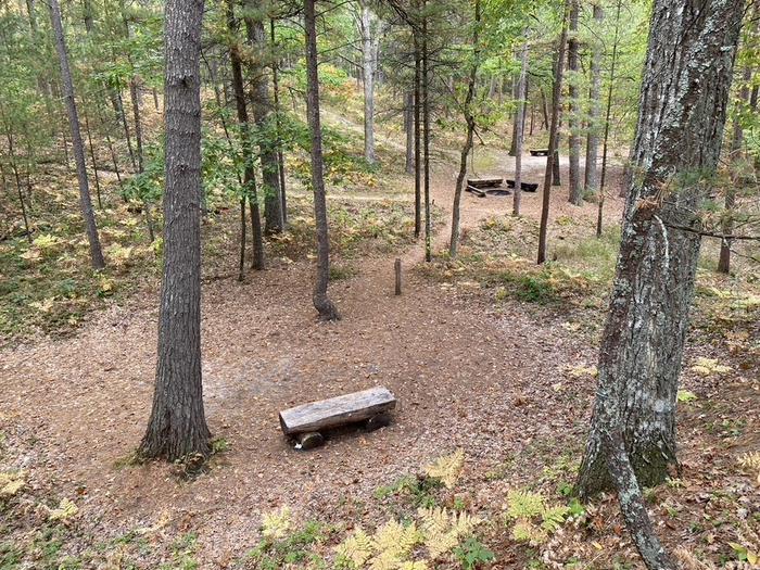 campsite in the trees showing wooden bench