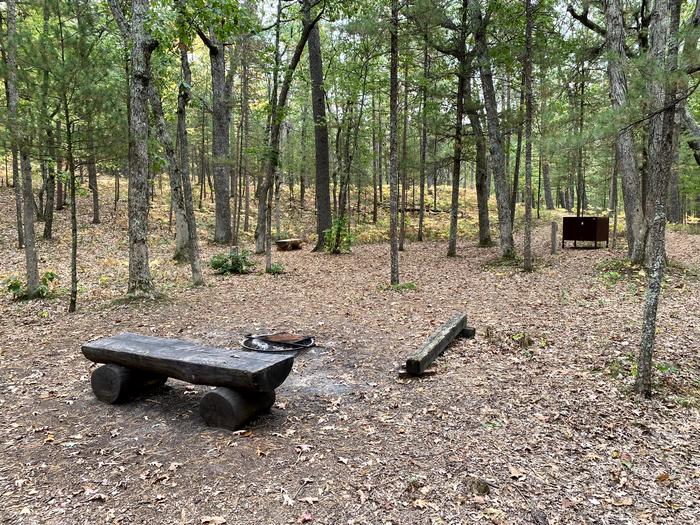 Wooded campsite with bench, fire ring, and food storage locker