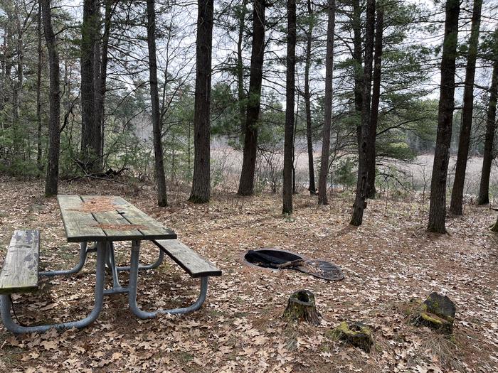 Campfire ring and picnic table in campsite 13