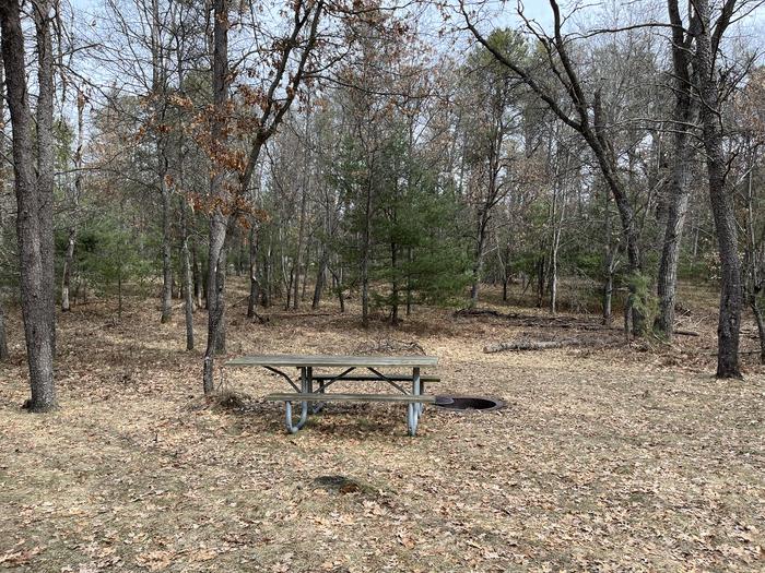 Campfire ring and picnic table at campsite 15