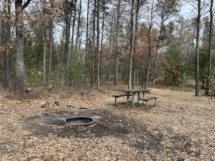 Campfire ring and picnic table at campsite 16