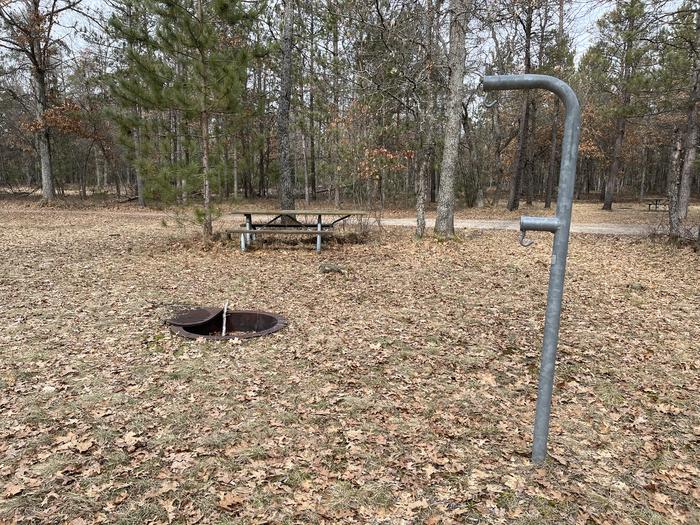 Campfire ring, picnic table, and lantern post at campsite 17