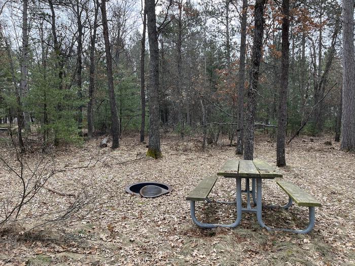 Campfire ring and picnic table at campsite 19