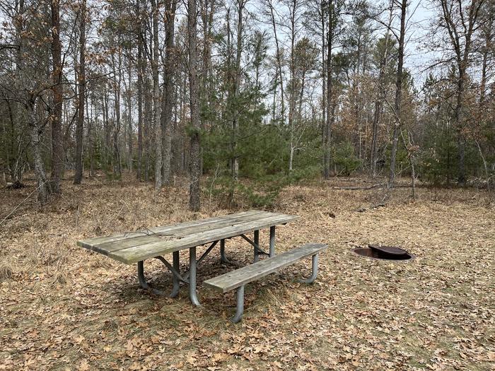 Campfire ring and picnic table at campsite 20