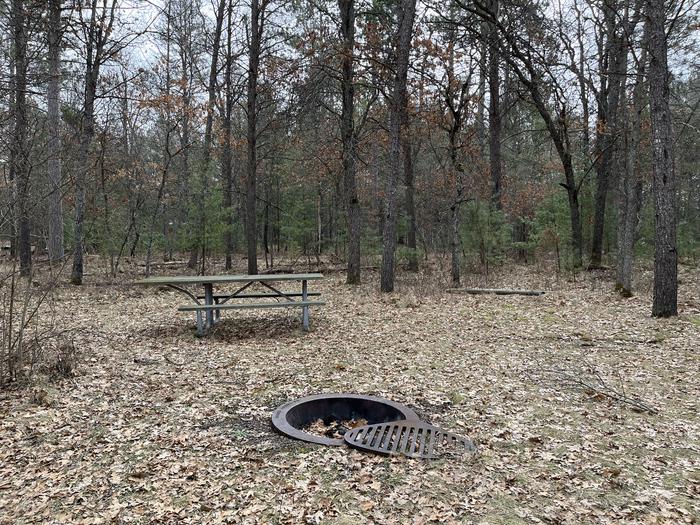 Campfire ring and picnic table at campsite 21