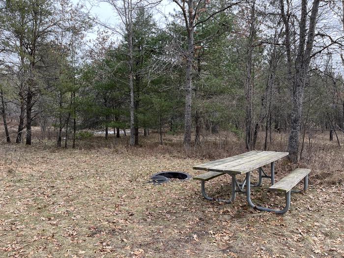Campfire ring and picnic table at campsite 24